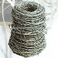 Galvanized Barbed wire, high security fence Barbed Wire